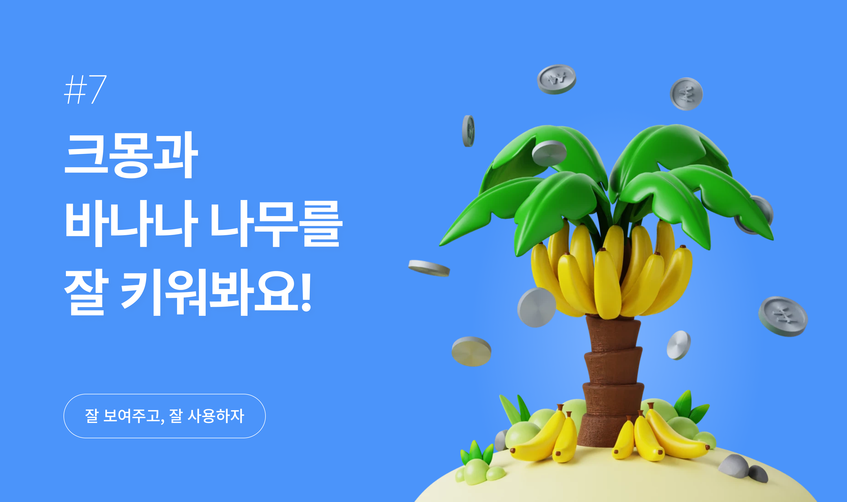 전문가 등급.png